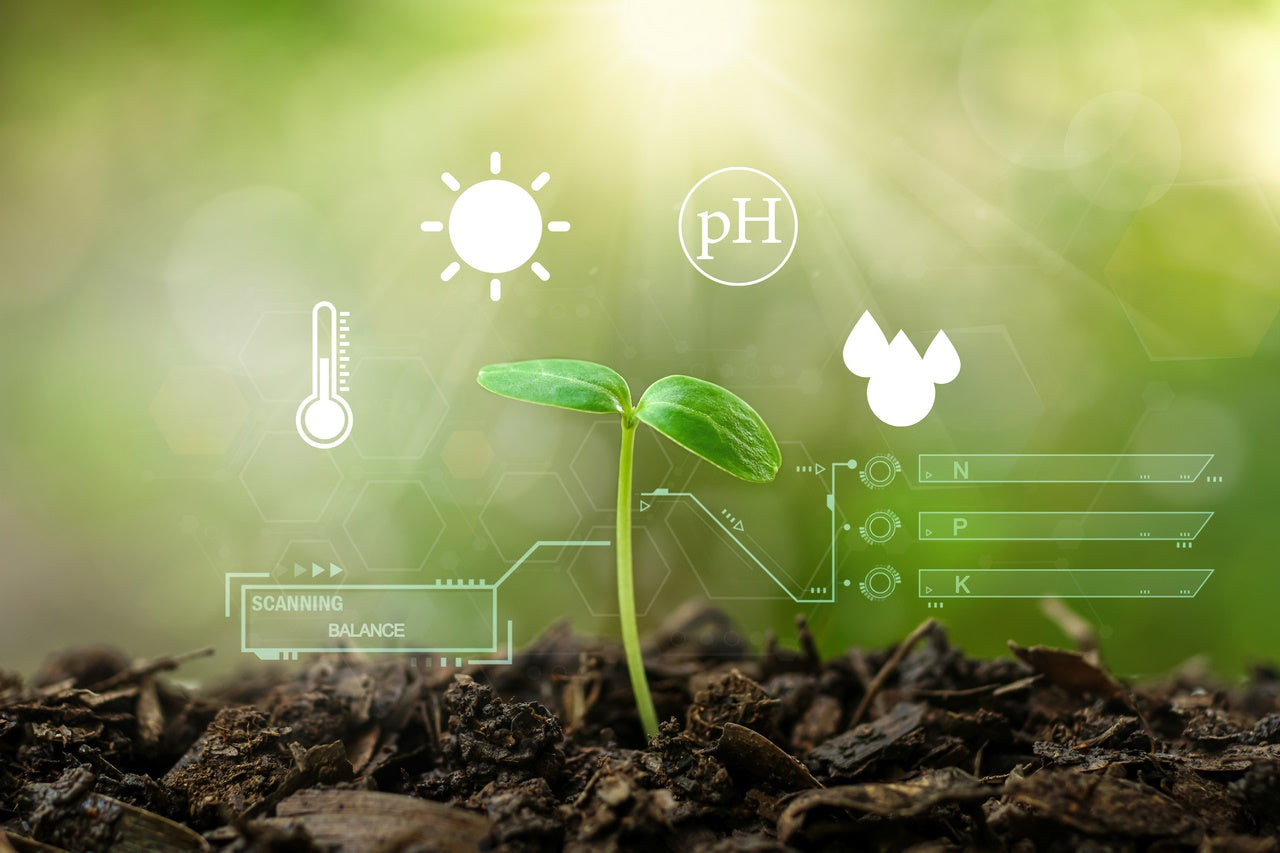 Agricultura