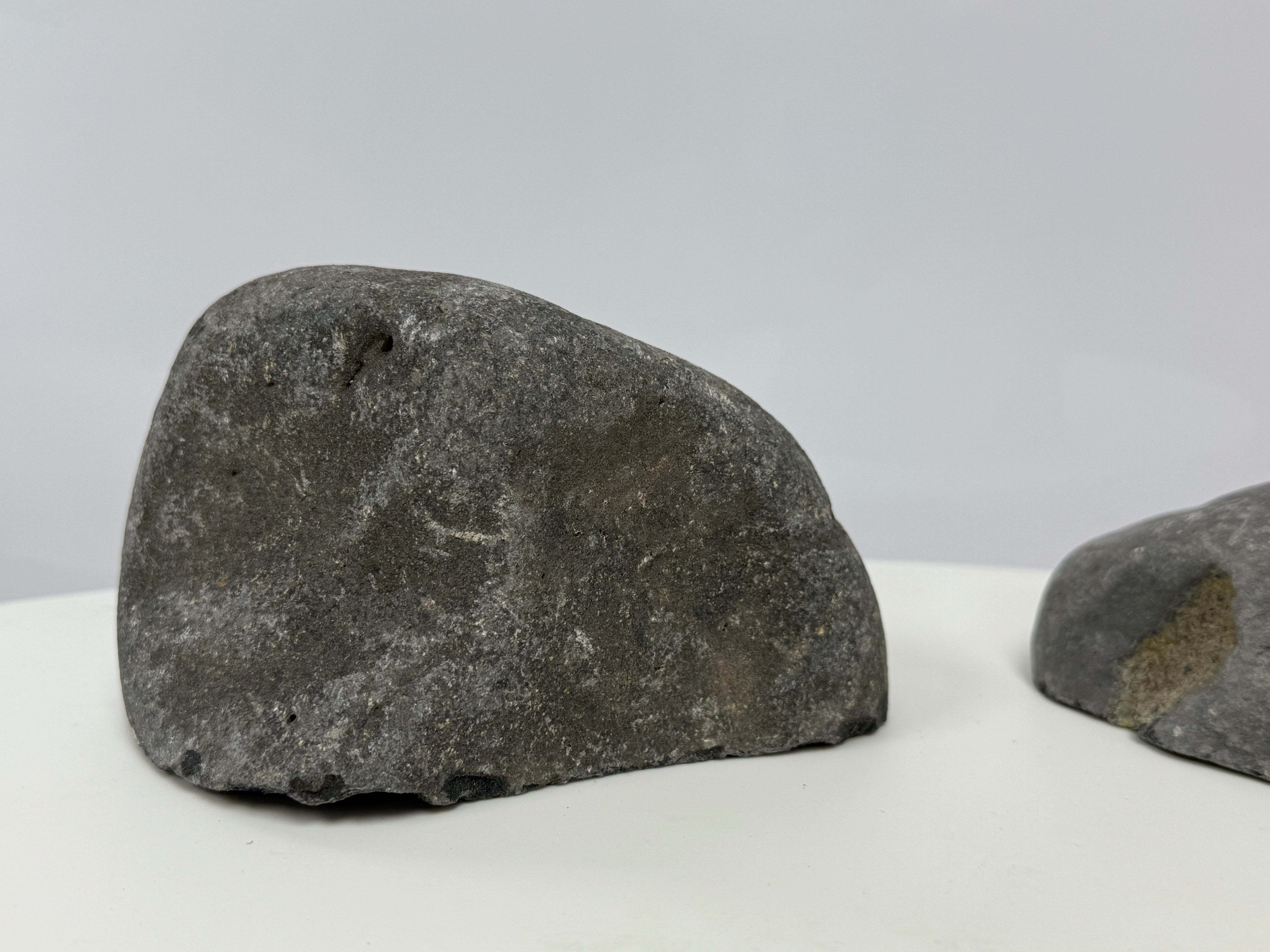 Bols décoratifs pour aquariums