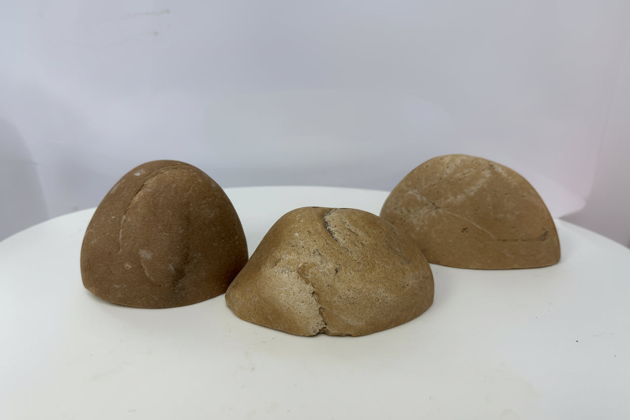 Bols décoratifs pour aquariums