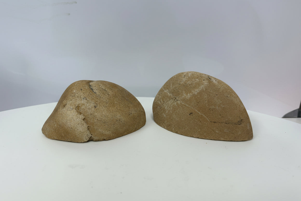 Bols décoratifs pour aquariums