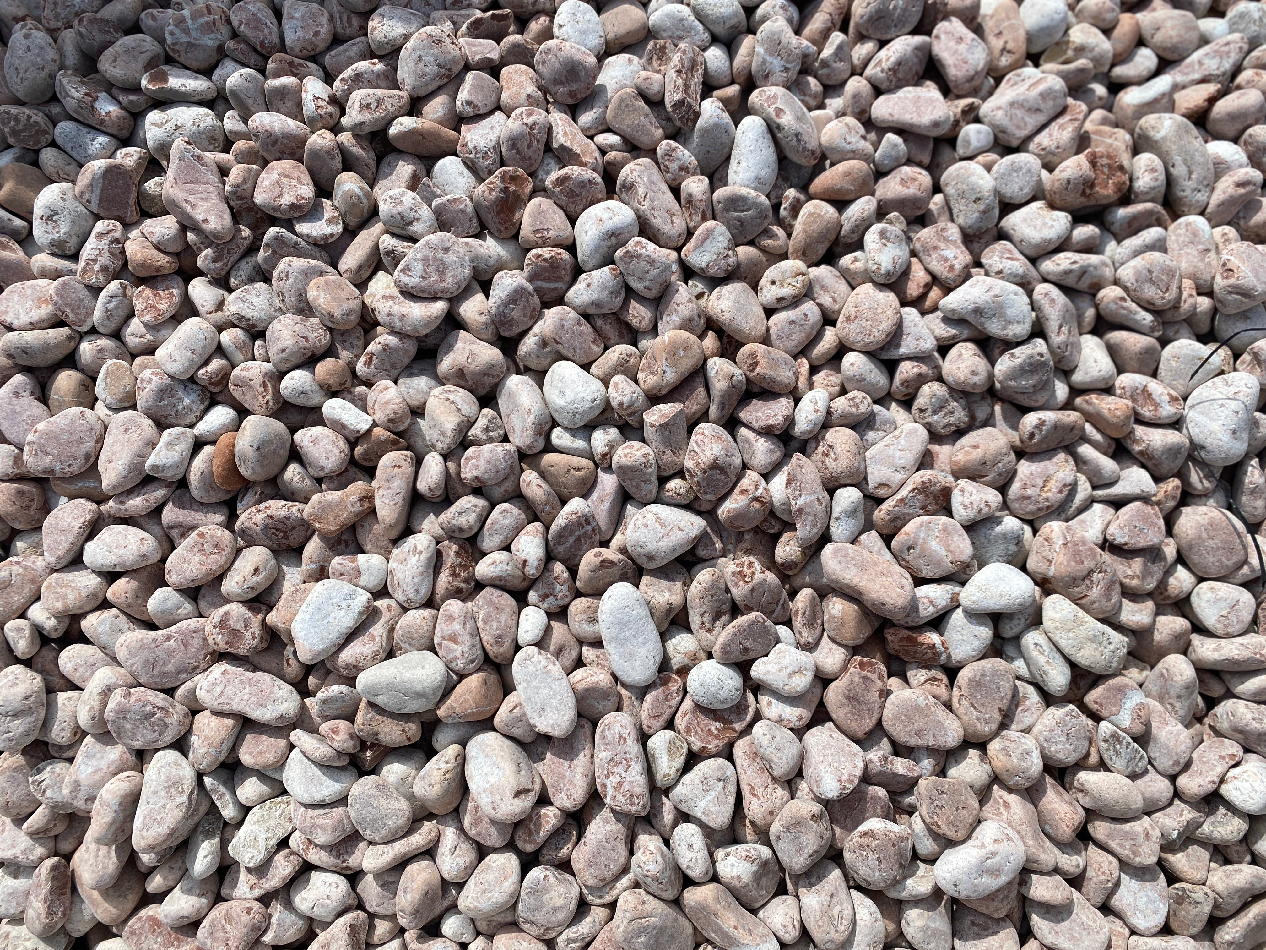 Red pebble