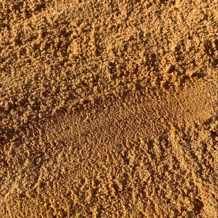 Arena siembra canónigos