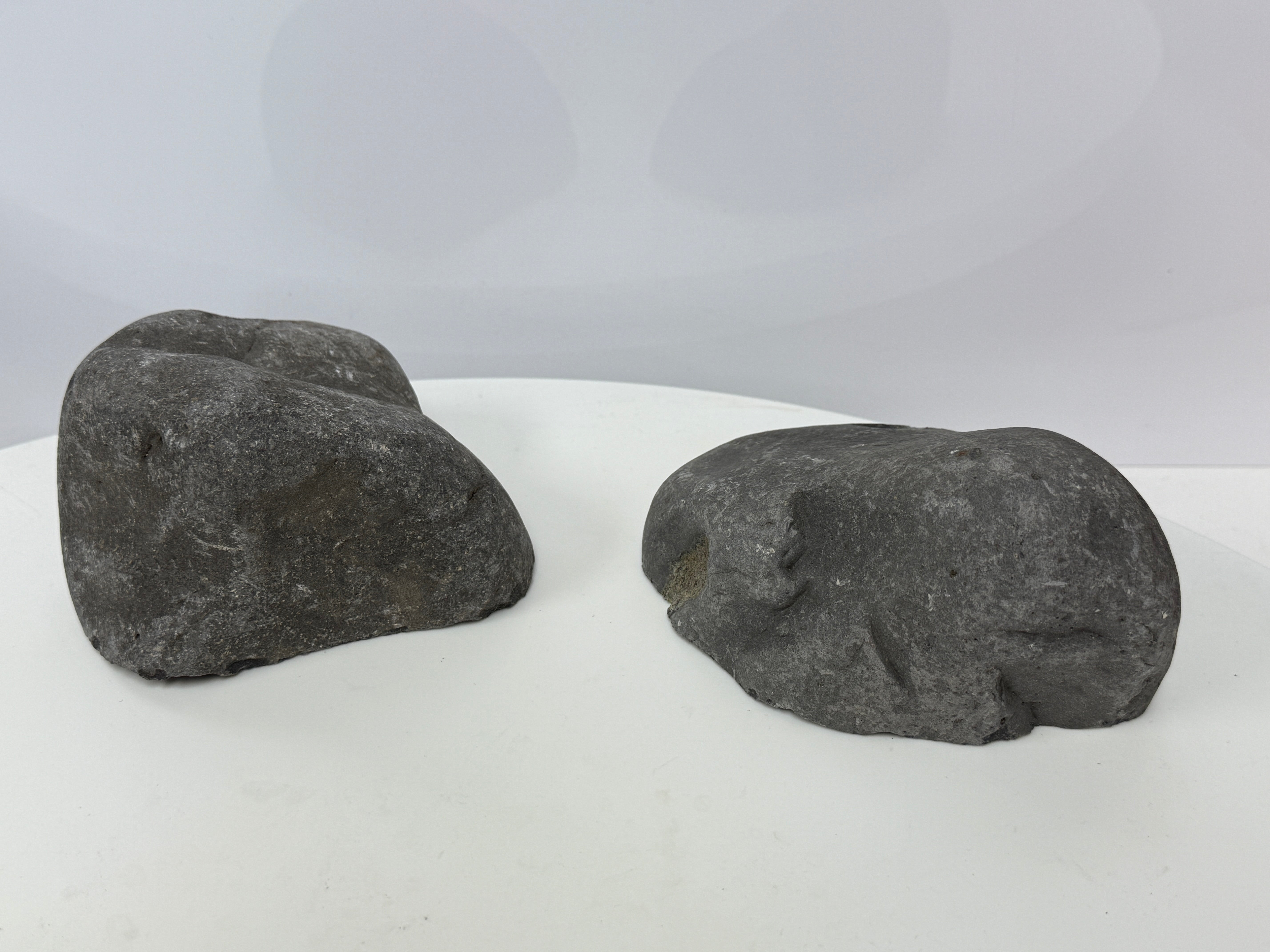 Bols décoratifs pour aquariums