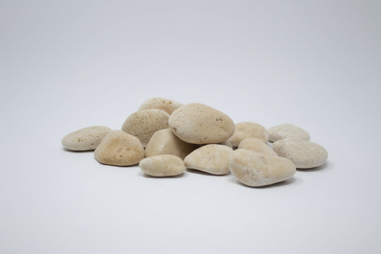 Canto rodado Amarillo Saturno