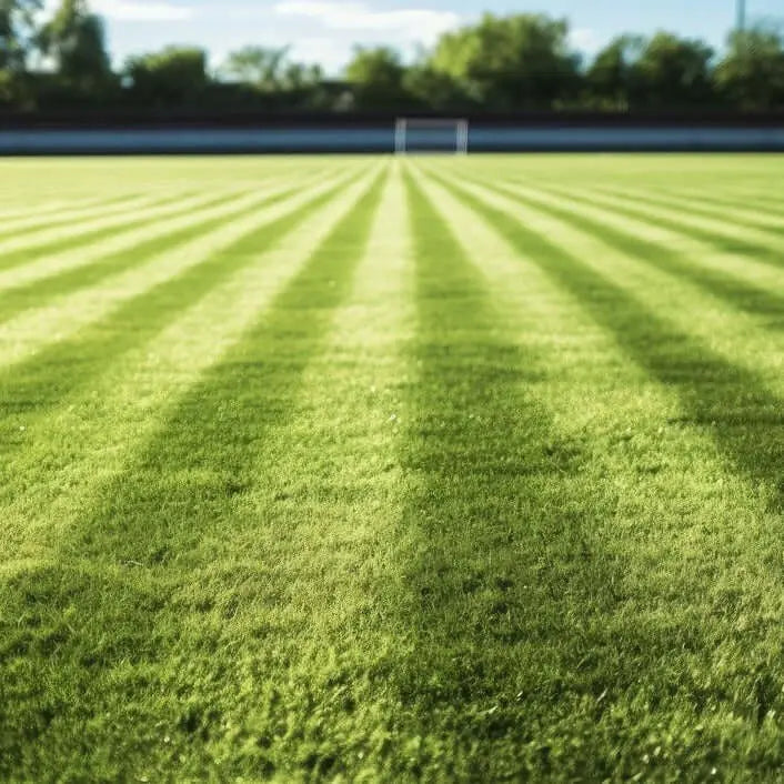 Sustrato para Césped Deportivo Vetonek