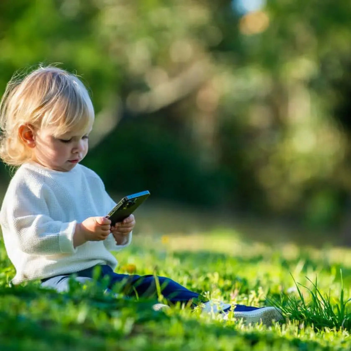 Sustrato Básico para Césped Jardín - Vetonek