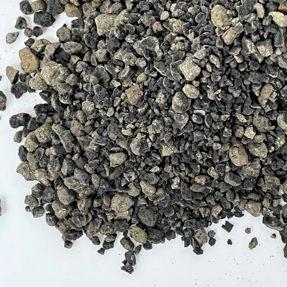 Sakura Terra - Alternativa Akadama - Vetonek