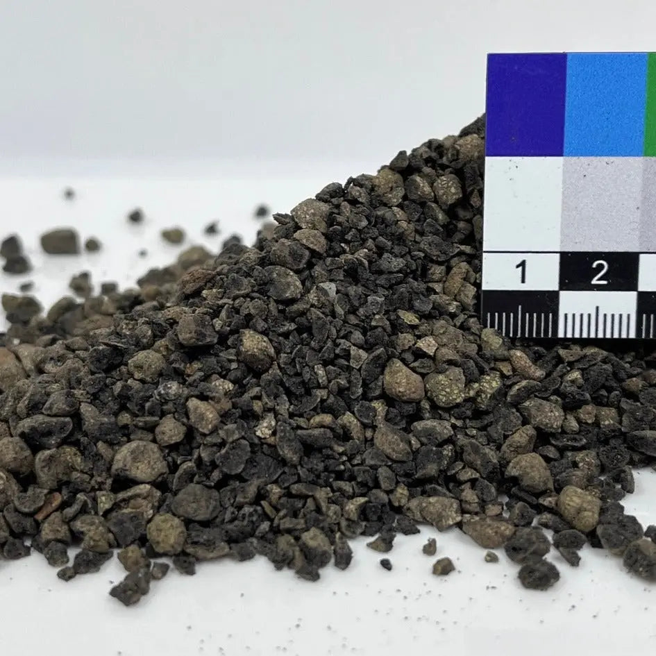 Sakura Terra - Alternativa Akadama - Vetonek