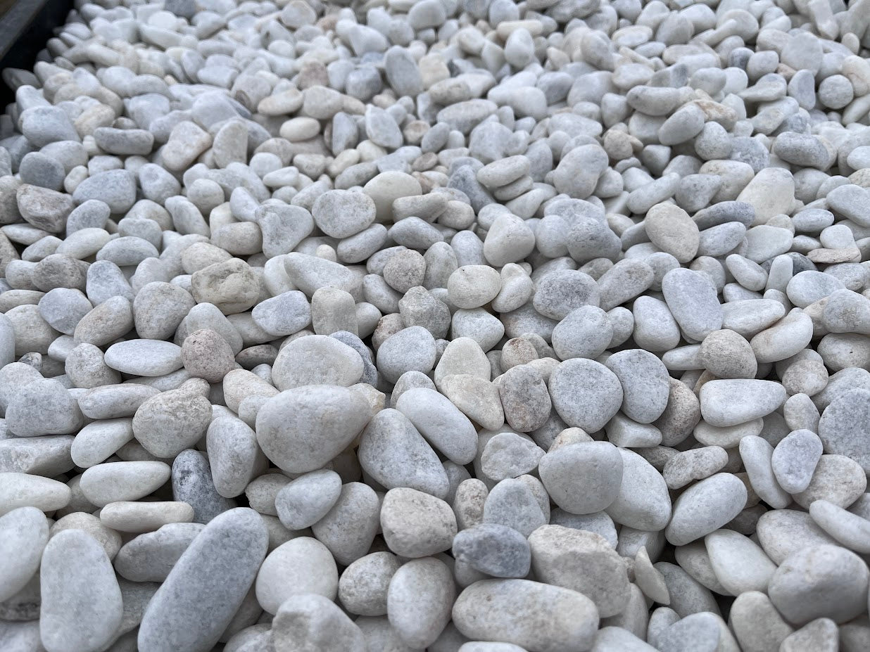 White pebble M