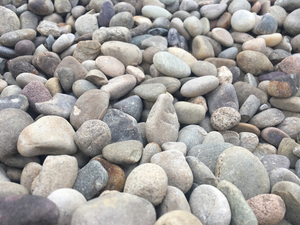 Large gray river pebble